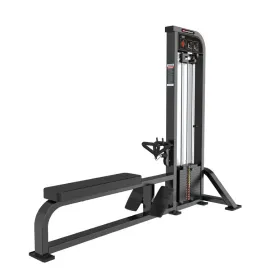 Alpha Series - Low Row