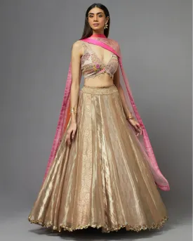 Blush Metal Lehenga Set