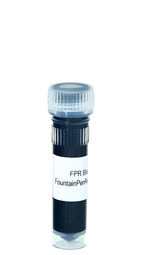 Diamine Winter Miracle Fountain Pen Ink
